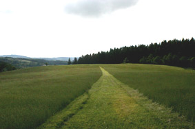 VernandLePlat VernandLePlat