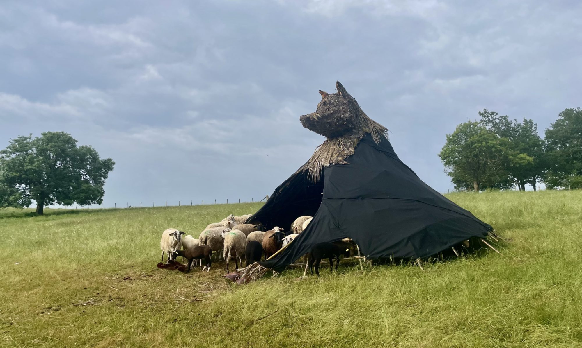 Se blottir... dans la gueule du loup / David Lachavanne